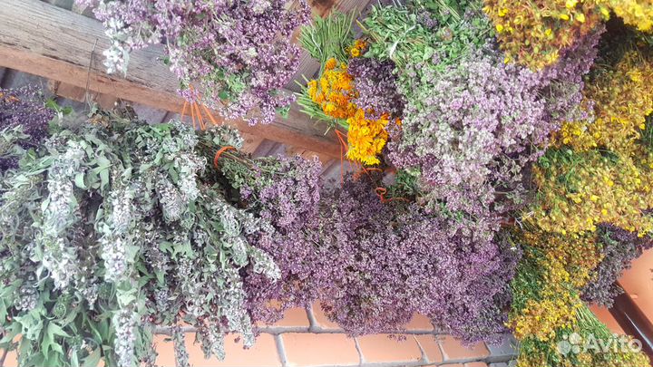 Душица, мята, иван-чай, чабрец, зверобой, лип.цвет