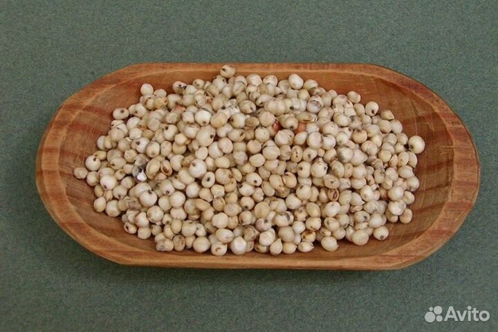 Сорго Тараумара Попинг (семена)