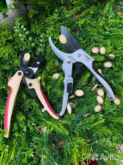 Чудо секатор