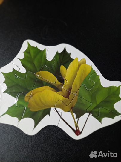 Развивающие игры