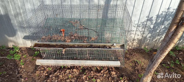 Клетка металлические для перепел