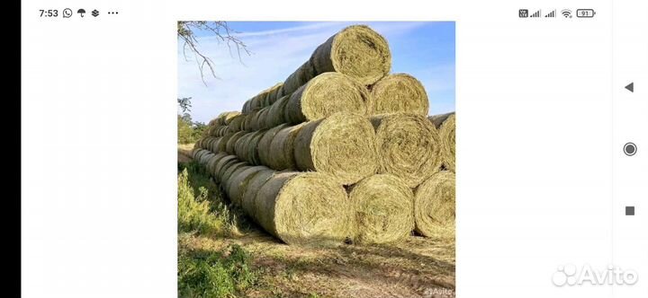 Дискатор бдм -3 метровый