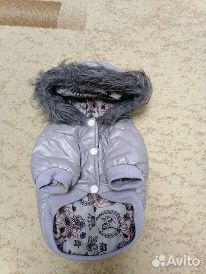 Вещи для маленькой собаки