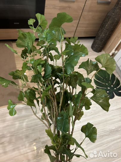 Искусстренное растение