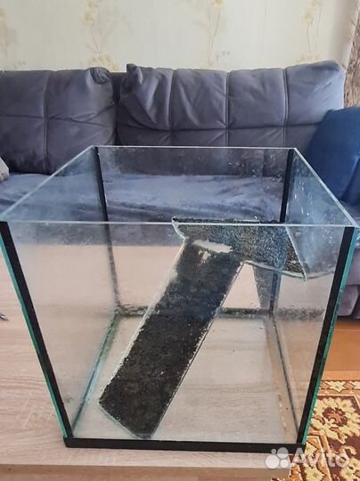 Аквариум для красноухой черепахи