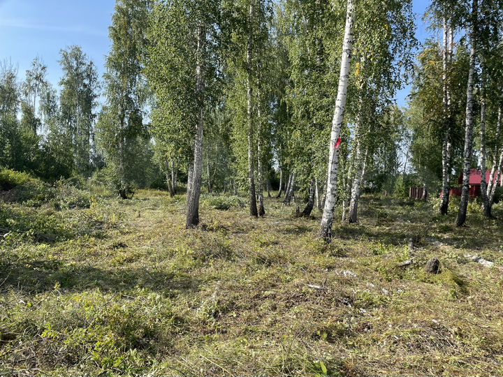 Участок 30 сот. (ИЖС)