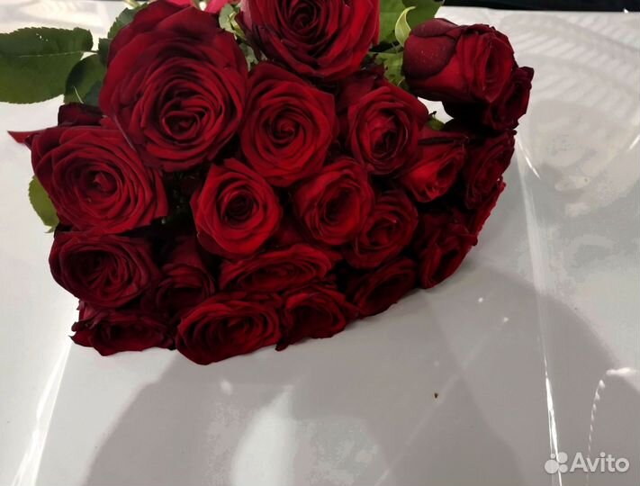 Розы, букет цветов, 101 роза, 51 роза. Розы опт