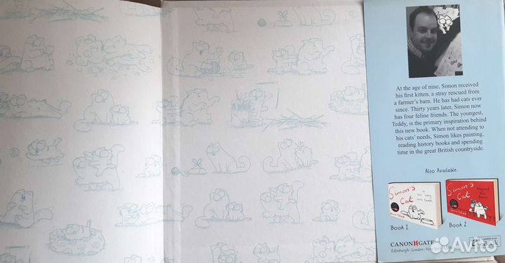 Книга Simon's Cat in Kitten chaos 3