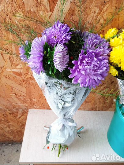 Астры, хризантемы к 1 сентября