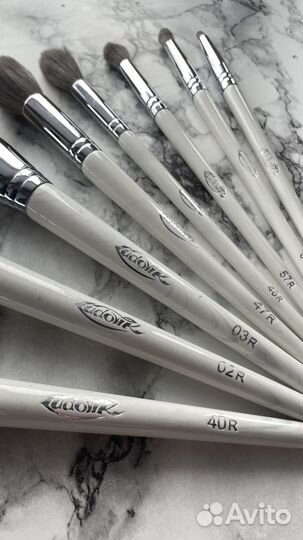 Набор проф кистей для макияжа Ludovic