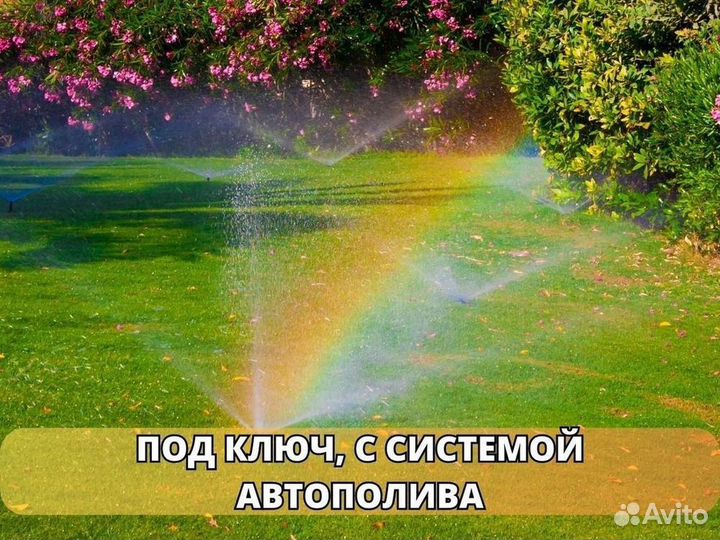 Рулонный газон /продажа/укладка