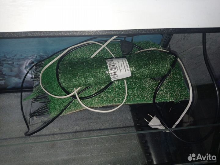 Аквариум для красноухой черепахи