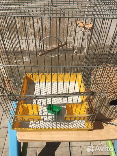 Клетка для средних и крупных попугаев