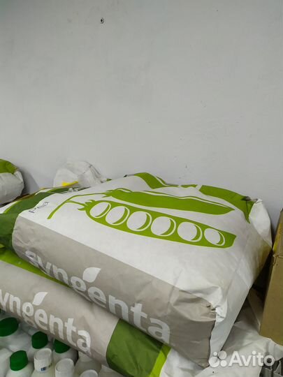 Горох Преладо 100000 семян