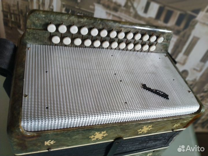 Гармонь восток (регистры)