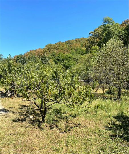 Участок 12 сот. (ИЖС)