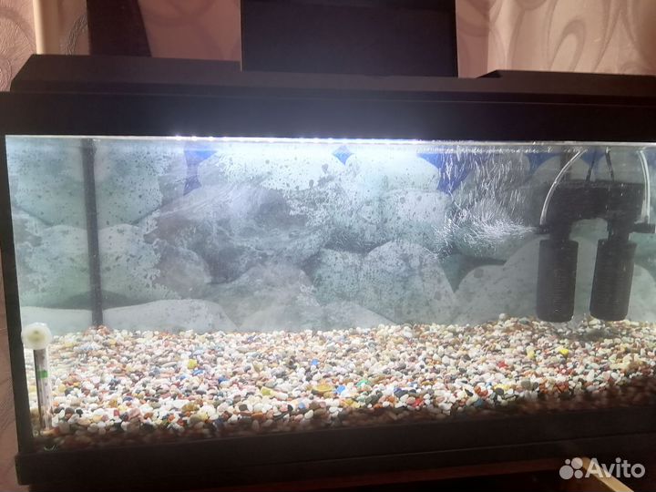 Аквариум на 40 литров