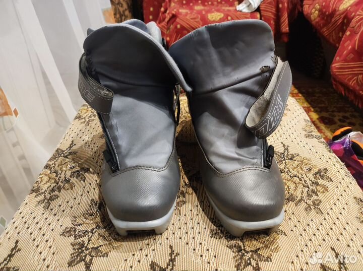 Лыжные ботинки spine rider