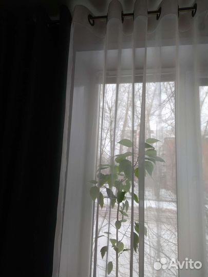 Шторы тюль для кухни на люверсах