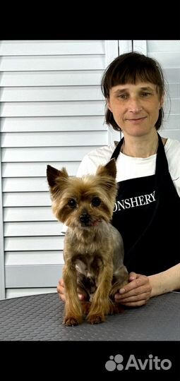 Вычёсывание домашних животных и выгул собак