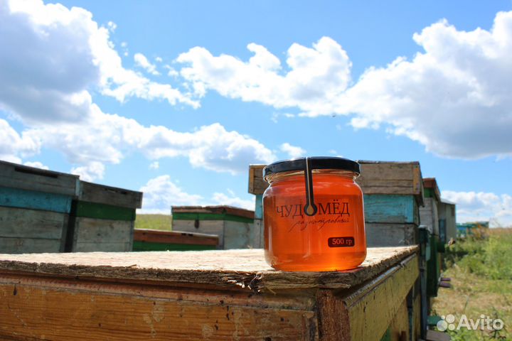 Мёд оптом - своя пасека, гречишный - 7кг