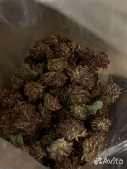 Искусственные листья