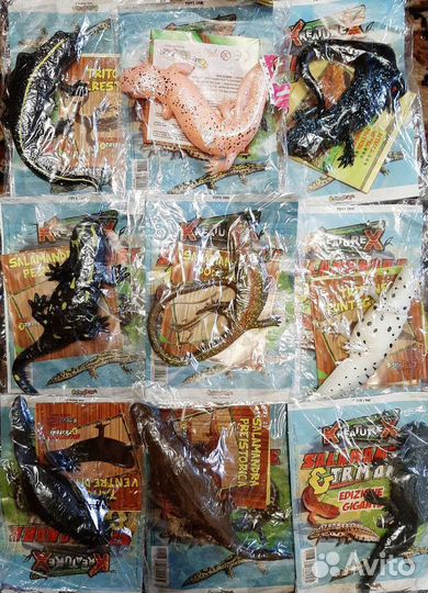 Саламандры и тритоны