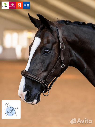Анатомический кожаный недоуздок Glimmer от Equestrian Stockholm - Коричневый
