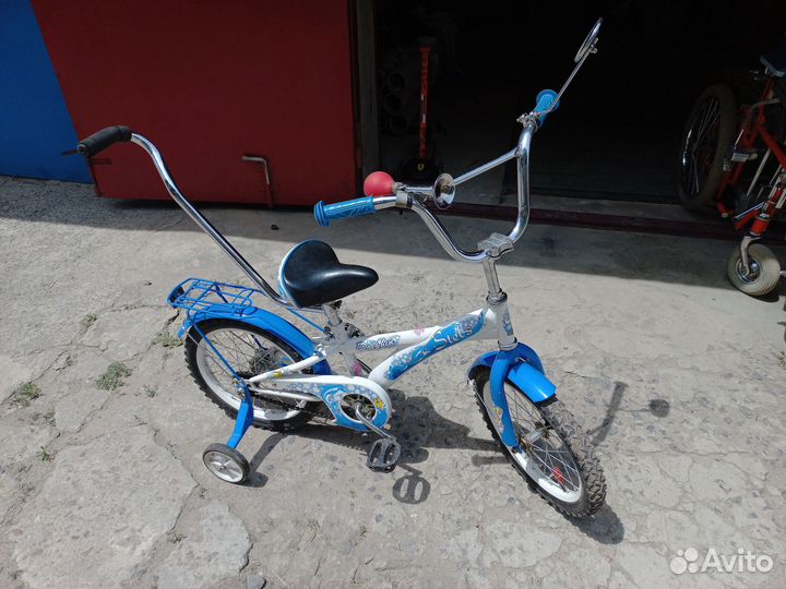 Велосипед детский Dolphin Stels