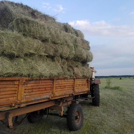 Продам сено, имеются рулоны