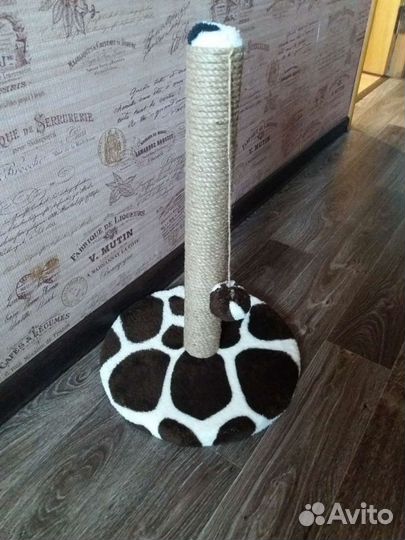 Когтеточки