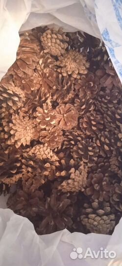 Шишки для рукоделия