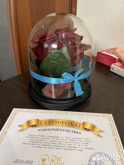 Стабилизированные цветы в стекле