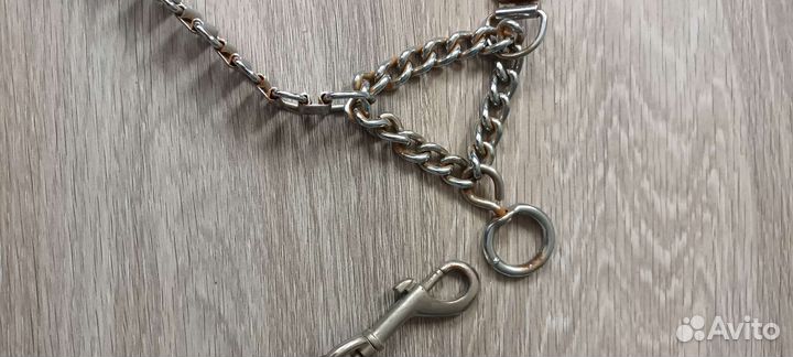 Ошейник с поводком