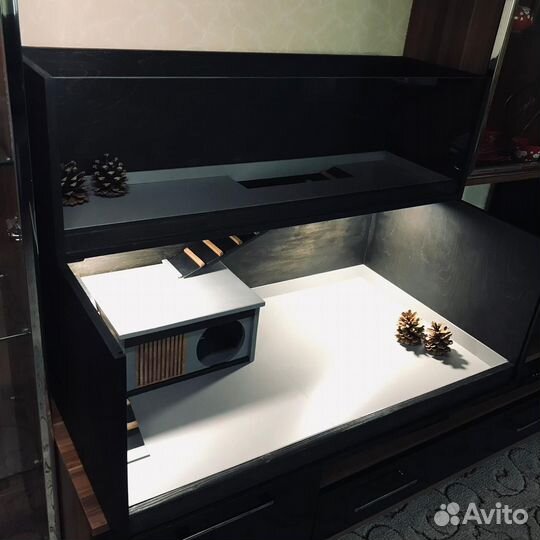 Витрина для морской свинки, ежика