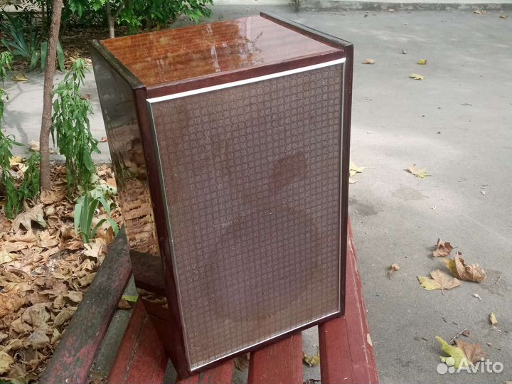 Акустическая колонка 10мас-1М