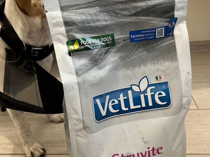 Сухой корм для собак vetlife struvite