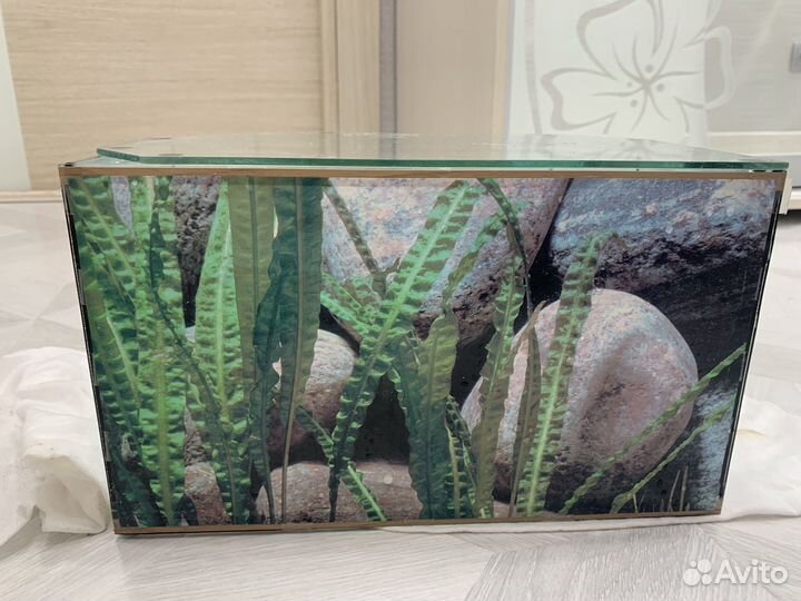 Аквариум для черепах