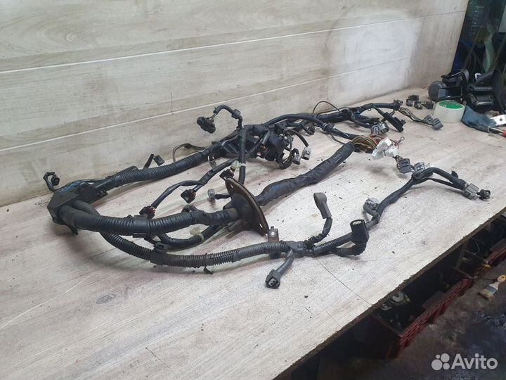 Коса моторная(проводка) Toyota Camry XV30 (2001—20