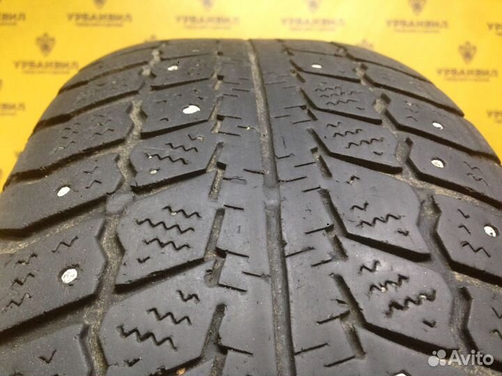 Barum Norpolaris 195/65 R15 91Q