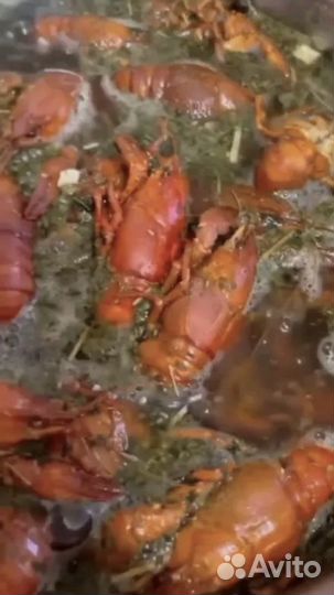 Раки варка под заказ