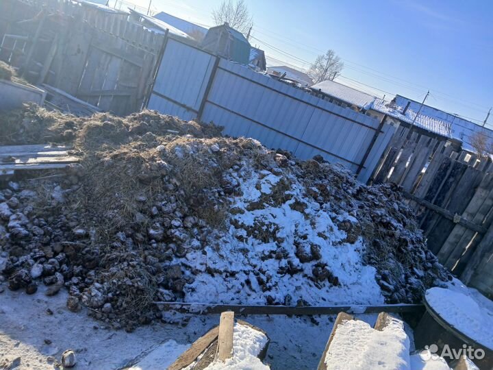 Продам навоз