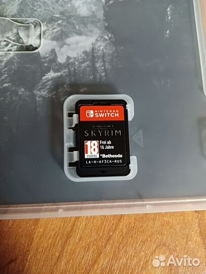 Nintendo switch skyrim
