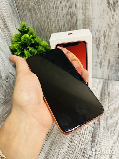 iPhone Xr, 64 ГБ