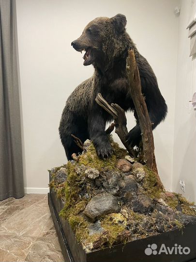 Медведь чучело имитация