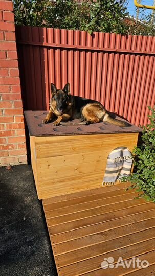 Будка для собаки