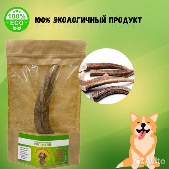 Рог оленя, лакомство для собак