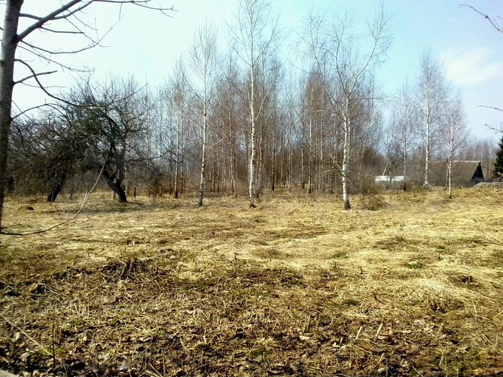 Участок 30 сот. (ИЖС)
