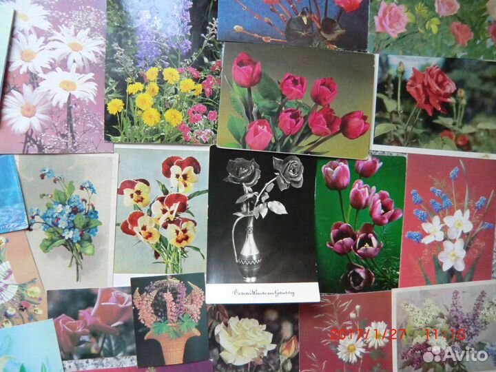Стереофото-открытки.Цветы