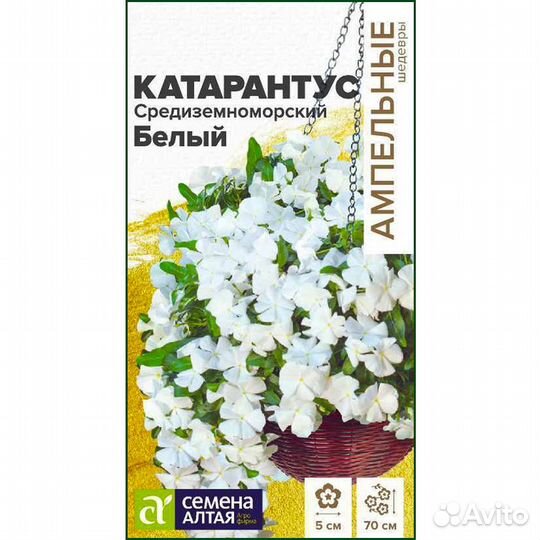 Катарантус Средиземноморский Белый